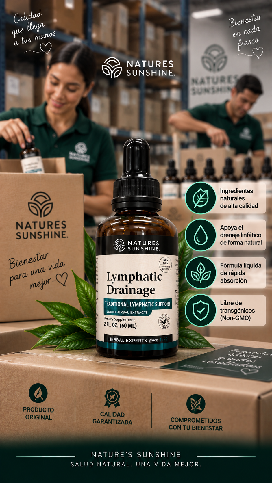 🌿 Lymphatic Drainage™ – Apoyo Linfático y Sensación de Ligereza
